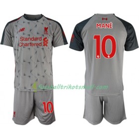 Fußballtrikots Liverpool Mane 10 Kinder 2018-2019 Kurzarm Ausweichtrikot kaufen